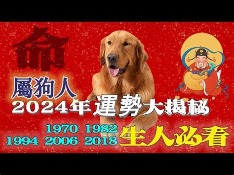 1982生肖狗|1982年屬狗是什麼命，1982年出生人的命運